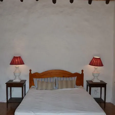 ベッド・アンド・ブレックファスト Traditional Canarian Country House バルセキージョ・デ・グラン・カナリア