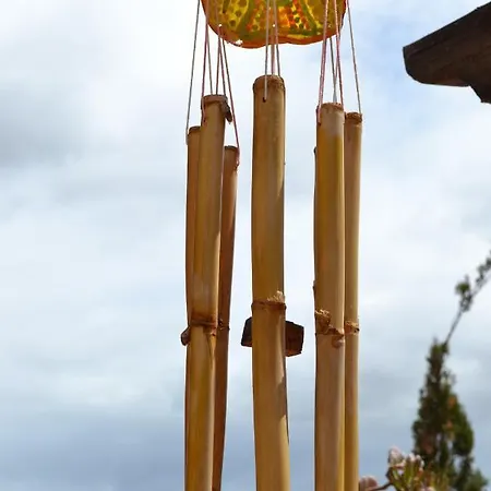 ベッド・アンド・ブレックファスト Traditional Canarian Country House バルセキージョ・デ・グラン・カナリア