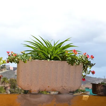 Traditional Canarian Country House Bed and breakfast Valsequillo de Gran Canaria